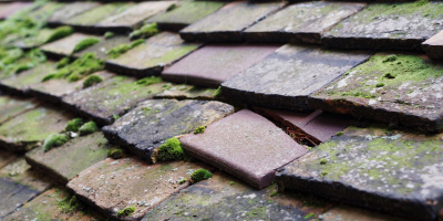 Cefn roof repair costs